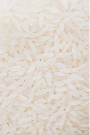 White Rice